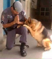 /album/galleria-fotografica/a2016-01-23-18-06-24-jpg/